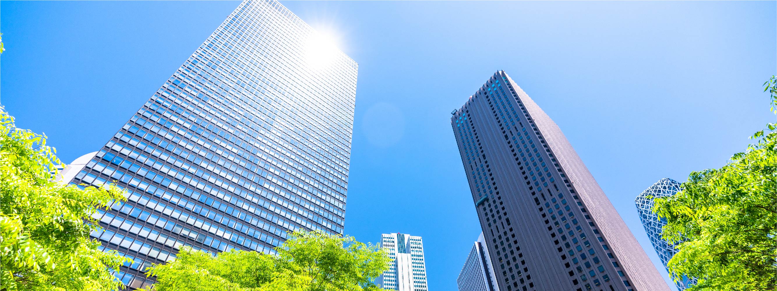 Company_profile_header_desktop