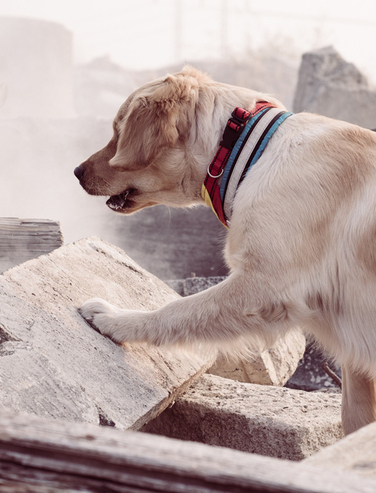 Türkiye Disaster Donation Drive - CRANE Inc. head