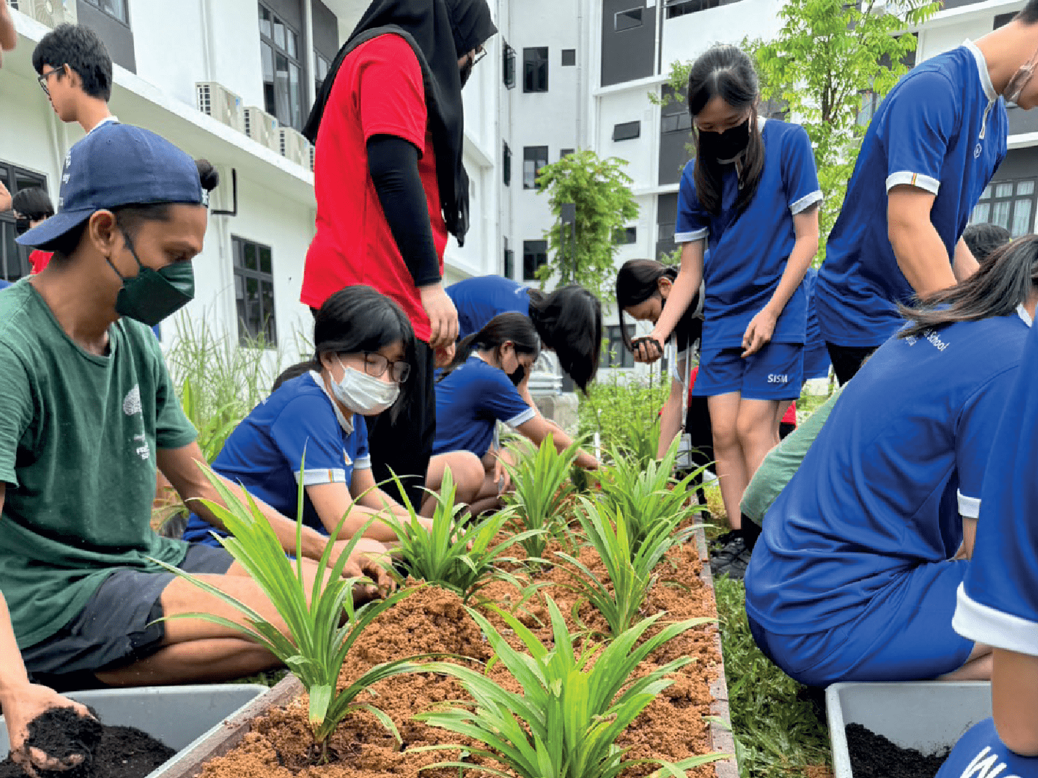 Seeds of Change: Cultivating a Greener Tomorrow 